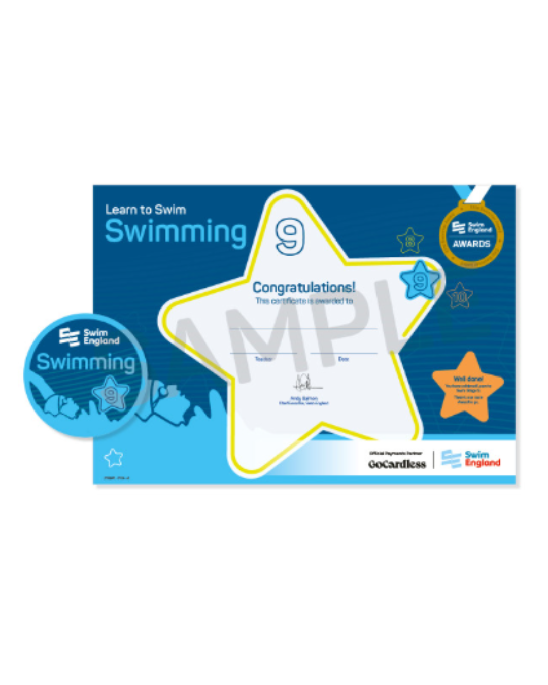 Stage 9 Certificate and Badge