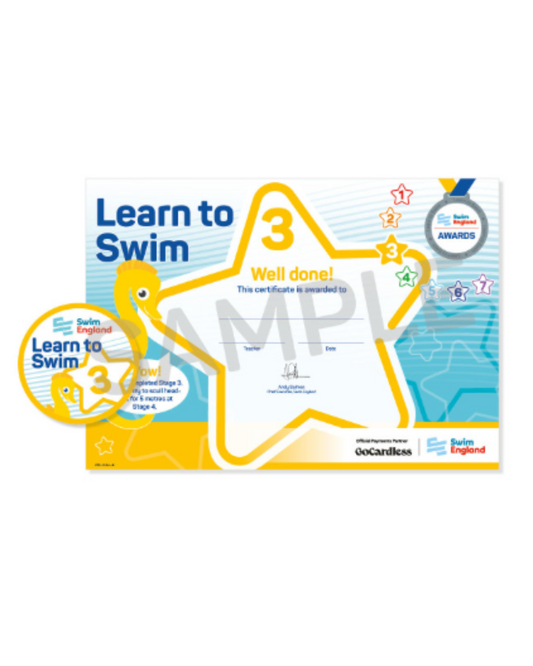 Stage 3 Certificate and Badge