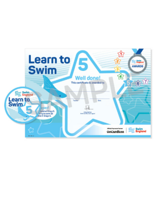 Stage 5 Certificate and Badge