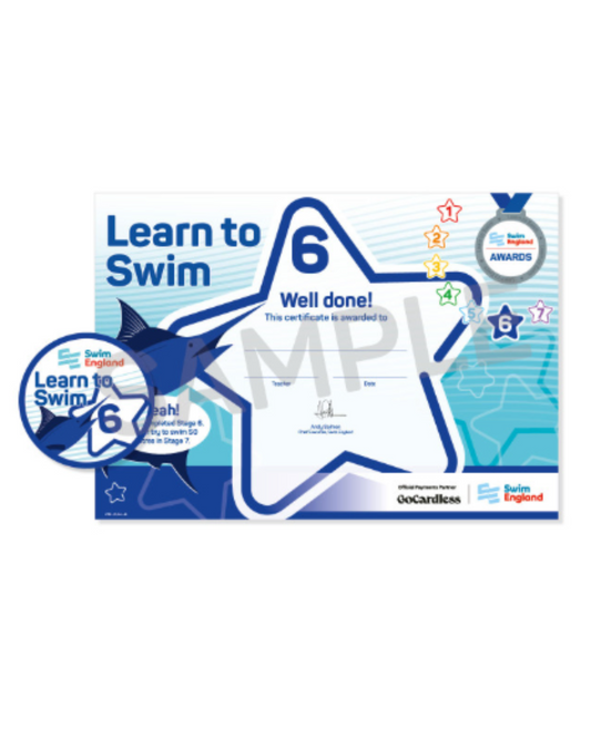 Stage 6 Certificate and Badge