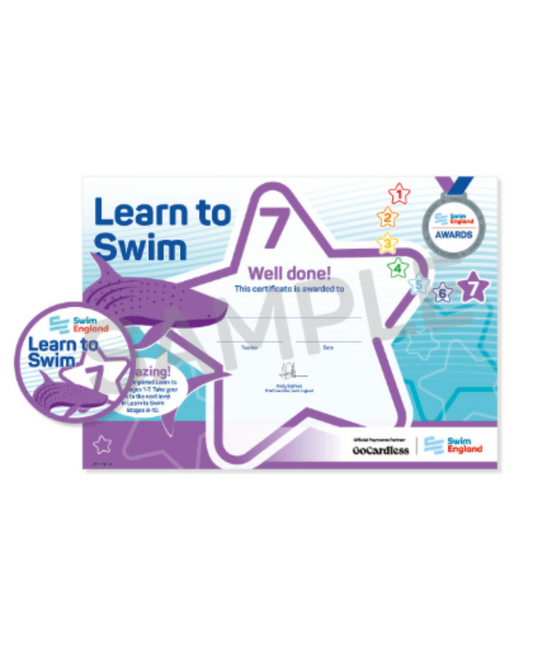 Stage 7 Certificate and Badge